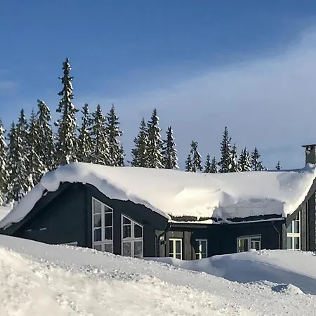 Cozy In With Sauna Sjusjoen