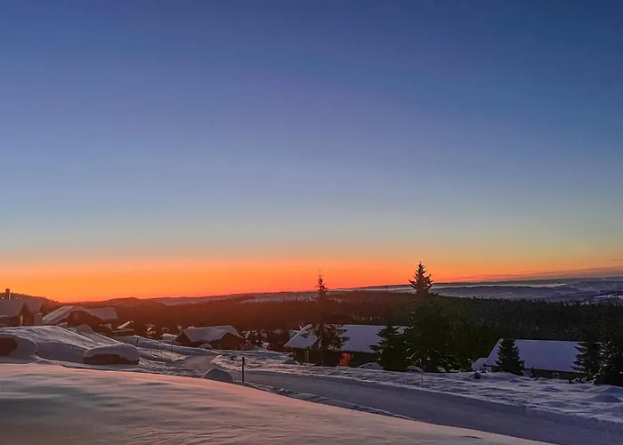 Cozy In With Sauna Ferienhaus